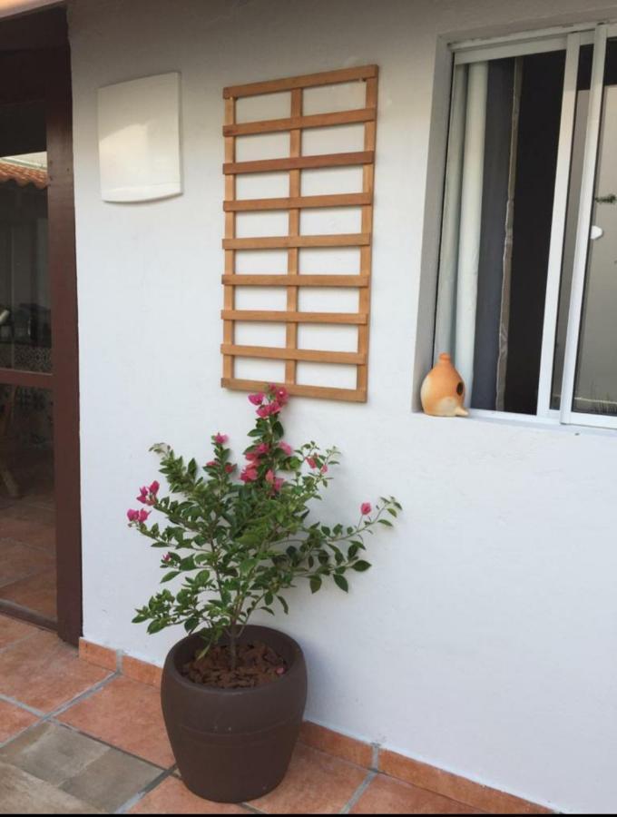 Praia Brava Guest House Suites Итажаи Экстерьер фото